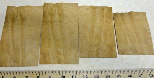 White Ash Burl wood veneer sample pack = 4 pieces 3.5&#034; x 5&#034; - 6.5&#034; (&#034;A&#034; quality)