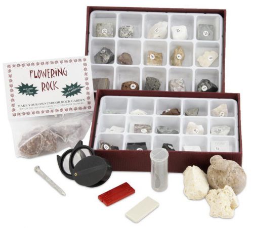 Rocks &amp; Minerals Project Kit