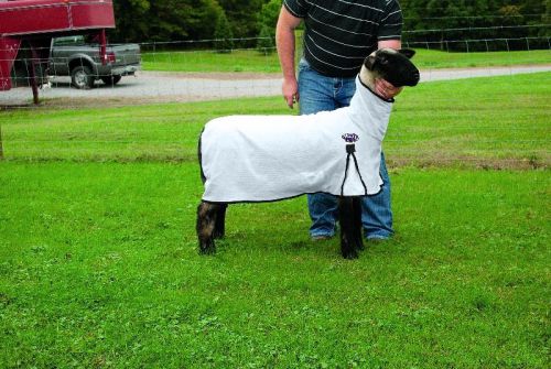 Weaver leather procool mesh sheep blanket - white - small for sale