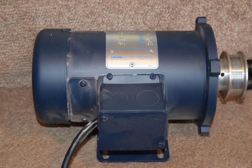 Leeson 1/3hp direct current permanent magnet motor for sale