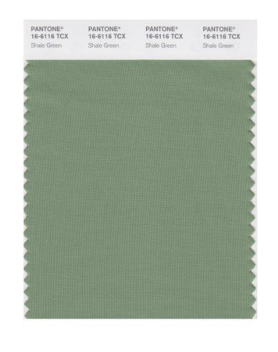 PANTONE SMART 16-6116X Color Swatch Card, Shale Green