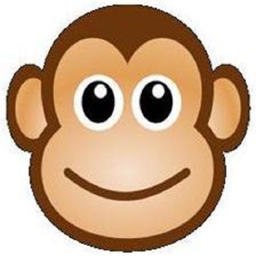 30 Custom Monkey Personalized Address Labels