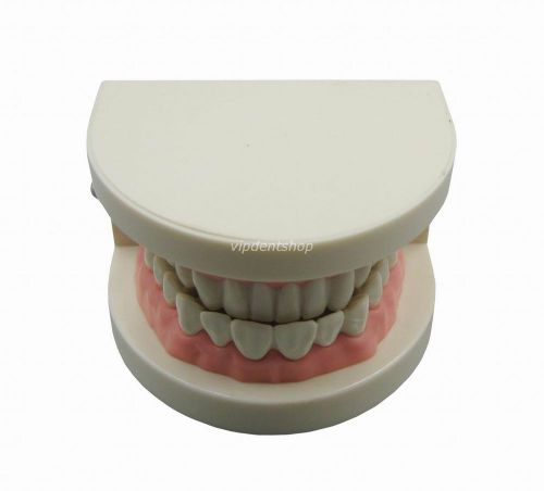 Dental Teeth Brushing Teeth Model Dental Education Teaching Model G125