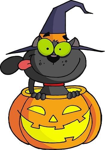30 Custom Halloween Cat Personalized Address Labels