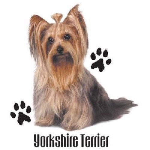 Yorkshire terrier dog heat press transfer for t shirt sweatshirt quilt 917 yorky for sale