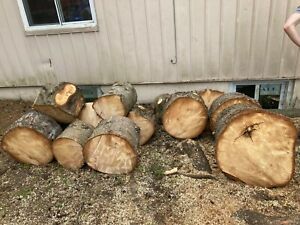 Buches de 16 Po de bois d&#039;pinette