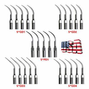 5PC Dental Ultrasonic Scaler Tips Fit DTE SATELEC Handpiece Scaling Perio USA