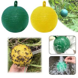 Hanging Ball Fruit Fly Catcher Sticky Trap Disposable Wasp Bee Yellow Jacke  C