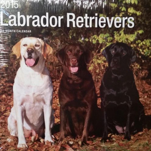 18-Month 2015 LABRADOR RETRIEVERS 12x12 Wall Calendar NEW Dogs Cute Animals