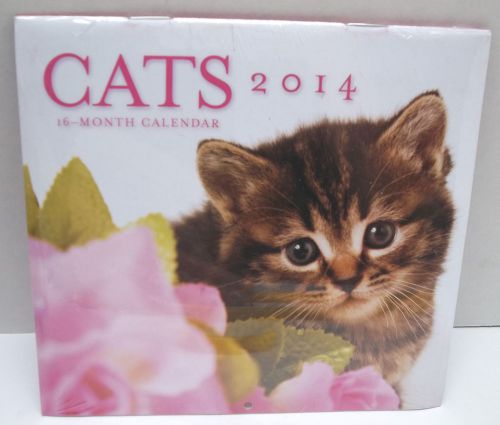 Mini wall calendar 2014 cats kittens 16 month full color photos 6&#034; x 11&#034; open for sale