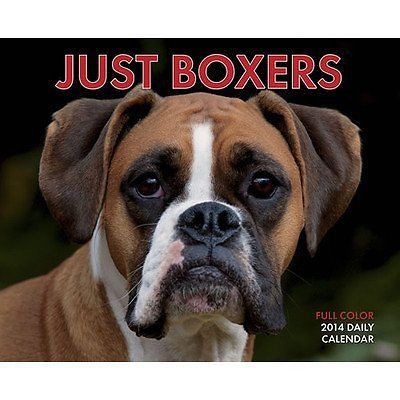 Just Boxers 2014 Box Calendar
