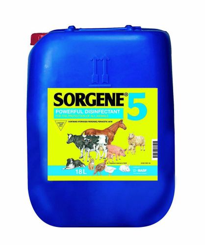 Sorgene 5 Broad Spectrum Environmental Disinfectant 18 lt