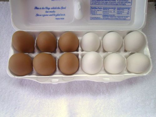 1 Doz Ceramic Dummy Chicken Nesting Eggs 6 Brown &amp; 6 White  Great Deal SHIP FREE