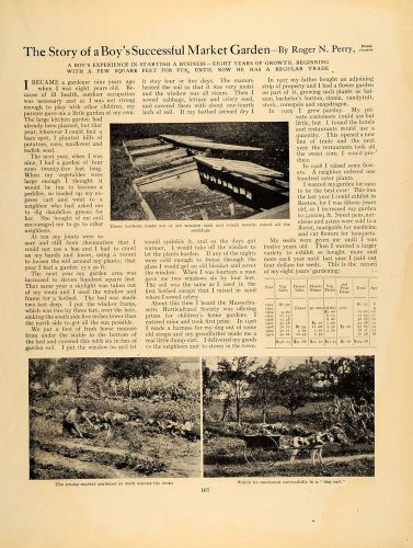 1911 Article Market Gardener Boy Vegetable Kitchen Crop - ORIGINAL GM1