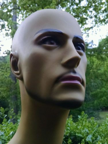 MALE MANNEQUIN HEAD for Hats Sunglasses VERY Life Like **EXCELLENT** Exotic