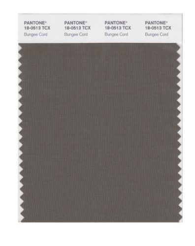 PANTONE SMART 18-0513X Color Swatch Card, Bungee Cord