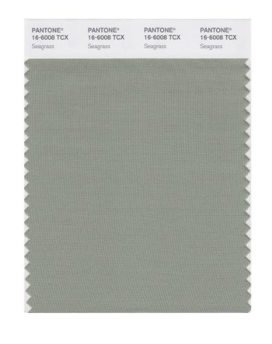 PANTONE SMART 16-6008X Color Swatch Card, Seagrass