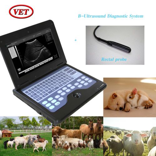 NEW CMS600P2 Digital Smart laptop B-Ultrasound Diagnostic System VET Veterinary