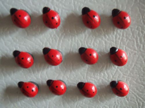 Ladybug magnets and thumbtacks set, Fomerz Japan, original clear boxes