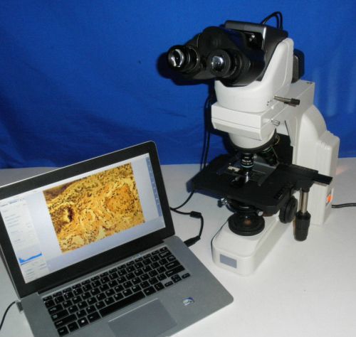 Nikon E400 Biological ERGO head Microscope