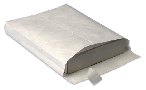 Quality park catalog envelopes, 10 x 13 inches, box of 100, white (r4500) for sale