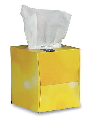 Brighton Professional Facial Tissue - Cube Box (2-Ply) (6 Boxes)