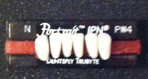 Portrait IPN Plastic Dentist Dental Lab Denture teeth    N  PW4