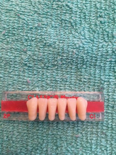 CLASSIC TRUBYTE ANTERIOR TEETH 2P C1