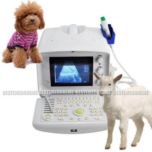 Veterinary VET Ultrasound machine scanner W 3.5mhz Convex PROBE extra 3D