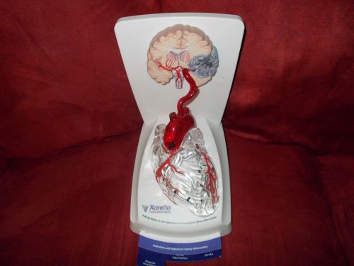 Xarelto Model of Human Heart &amp; Brain LED Clear Drug Rep Pharmadesign
