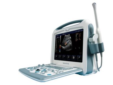 Escaner De Ultrasound Portatil En Color S8I Con 2 Sondas