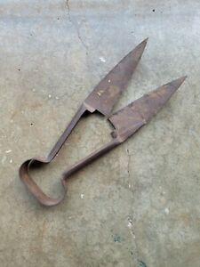 Vintage Antique Wool Sheep Goat Metal Shears Scissors 12&#034; Long