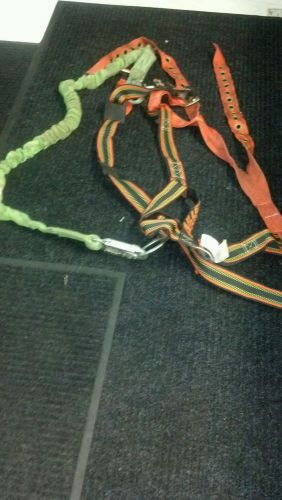 safety harness with lanyard