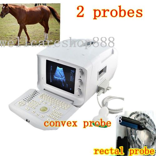 Portable veterianry ultrasound scanner machine convex rectal 3d  2 probes best for sale