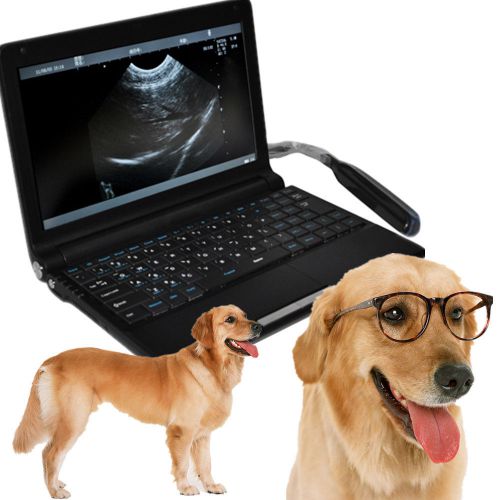 New full digital laptop vet ultrasound scanner with convex probe external 3d for sale