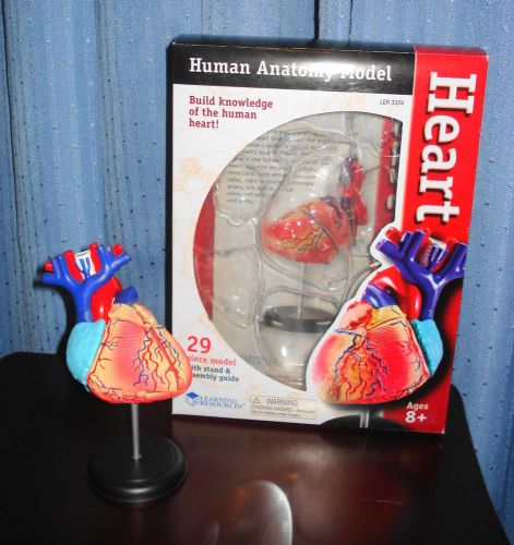 Learning Resources Human Anatomy Model: 29 Piece Heart Model