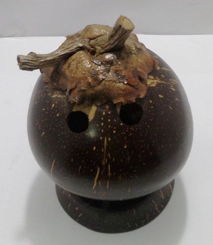 Coconut shell for Pen, Pencil and Pictures Stand at your home or office Supplies