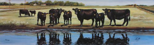 LARGE FARM ART PRINTS BLACK ANGUS CATTLE ART COWS ar