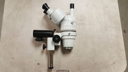 Scienscope XTL-5 PLUS Microscope (Head)
