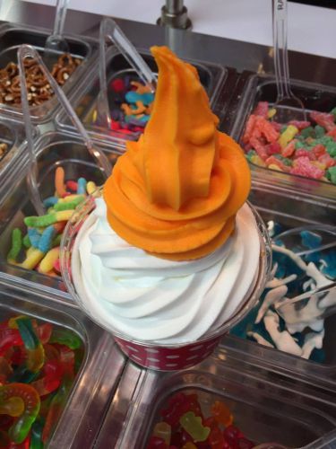 Frozen Yogurt / Cafe Existing Store 8 Ice Cream Machines