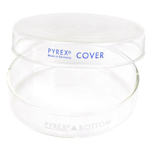 Case of Pyrex Glass Petri Culture Dishes, 100mm x 20mm , Tops and Bottoms Qty 11