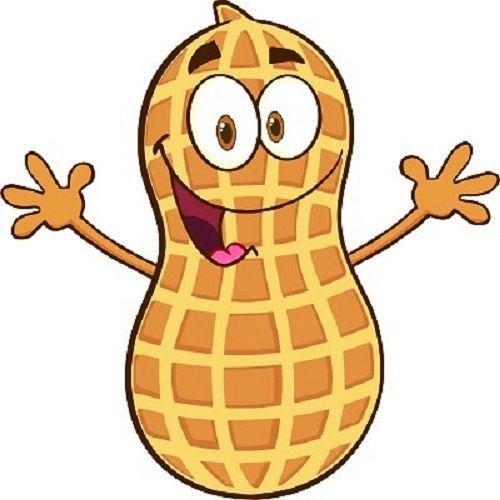 30 Custom Happy Cartoon Peanut Personalized Address Labels
