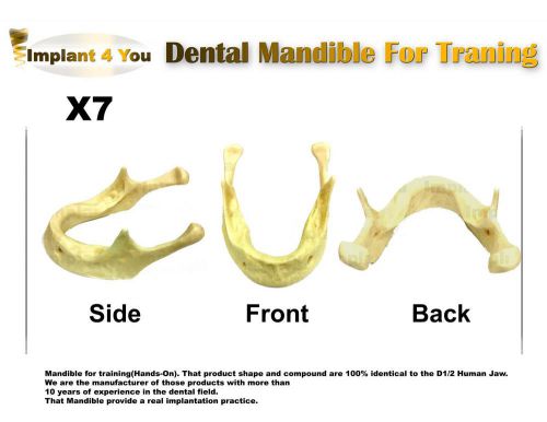 X7 Dental Mandible For Training Jaw Study Teach Anatomical Education Model