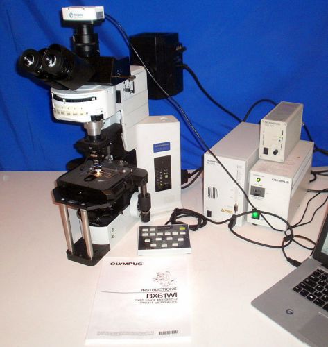 Olympus bx61 wi fluorescence dic water immersion microscope for sale