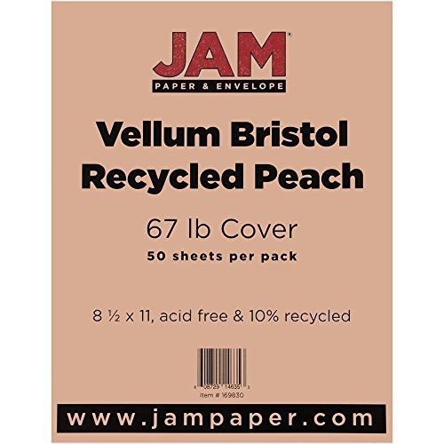 JAM Paper? 8 1/2 x 11 Vellum Cover Cardstock - 67lb Peach - 50 sheets per pack