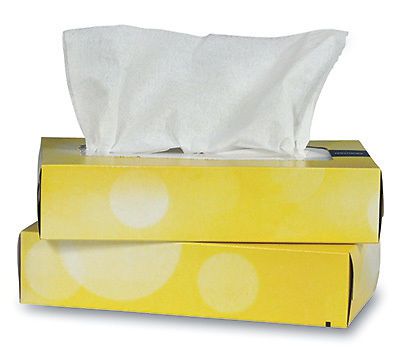 Brighton Professional Facial Tissue - Flat Box (2-ply) (6 Boxes)
