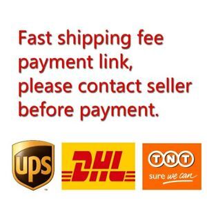 Extra Ship UA Cost Payment Link for Fast Ship NEW! DHL/UPS/TNT/Fedex Express PR