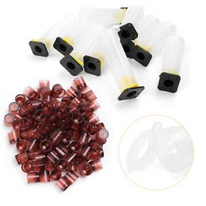 Complete Queen Rearing Cupkit System Bee Beekeeping Catcher Box 100 Cell Cups