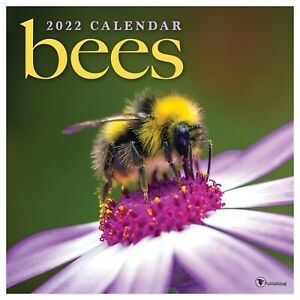 2022 Bees Wall Calendar