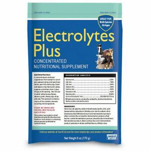 Electrolytes Plus Conc MultiSpecies 6 Pound Bag SavACaf